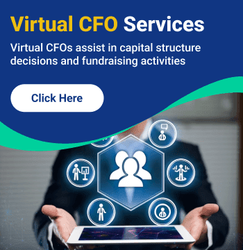 Virtual CFO Services